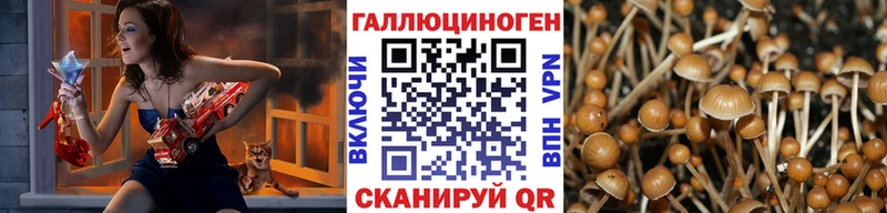 Псилоцибиновые грибы Psilocybine cubensis  где найти наркотики  Белинский 
